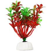 УЮТ Растение аквариумное Гемиантус красно-зеленый