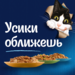 Влажный корм Felix Аппетитные кусочки для взрослых кошек, с кроликом в желе – интернет-магазин Ле’Муррр