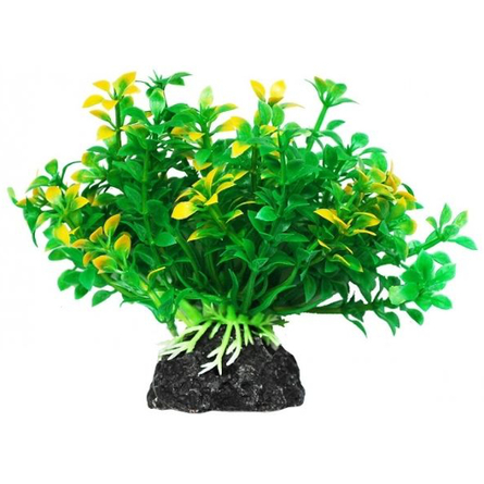 УЮТ Растение аквариумное Микрантемум зелено-желтый – интернет-магазин Ле’Муррр
