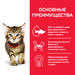 Сухой корм Hill's Science Plan для котят для здорового роста и развития – интернет-магазин Ле’Муррр